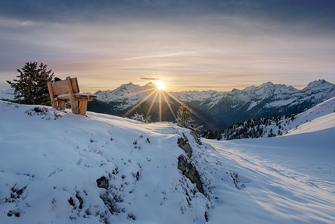 Sentiero dei pini cembri