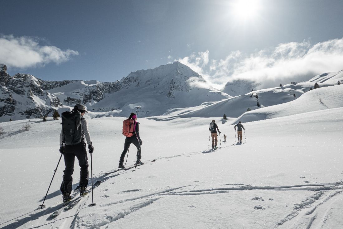 Elevation Gain & Powder Bliss